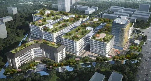 江門迎來企業投資熱潮，實業興城正當時